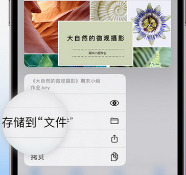 封丘apple维修中心分享iPhone文件应用中存储和找到下载文件