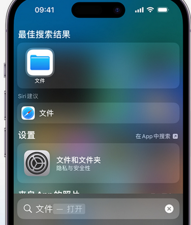 封丘apple维修中心分享iPhone文件应用中存储和找到下载文件 