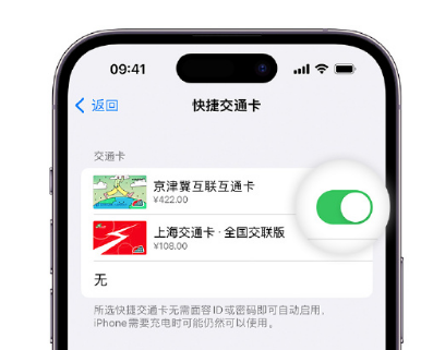 封丘apple维修点分享iPhone上更换Apple Pay快捷交通卡手绘卡面 