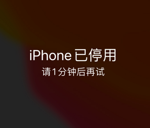 封丘苹果手机维修分享:iPhone 显示“不可用”或“已停用”怎么办？还能保留数据吗？ 