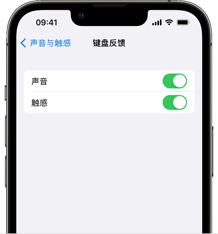 封丘苹果14维修店分享如何在 iPhone 14 机型中使用触感键盘 