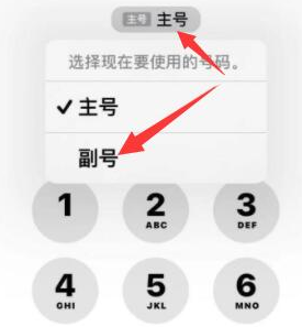 封丘苹果14维修店分享iPhone 14 Pro Max使用副卡打电话的方法 