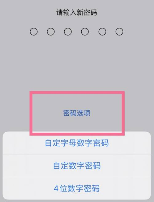 封丘苹果14维修分享iPhone 14plus设置密码的方法 